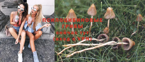 стафф Чекалин