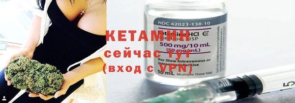 мдпв Бородино