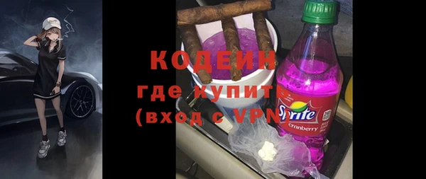 мдпв Бородино