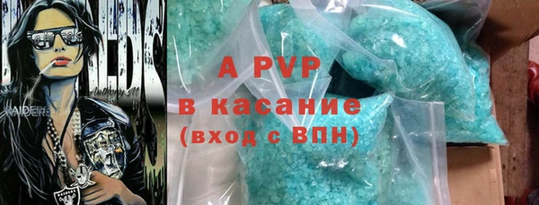 шишки Богородицк