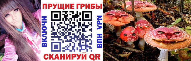 kraken рабочий сайт  Буйнакск  Псилоцибиновые грибы Psilocybe 